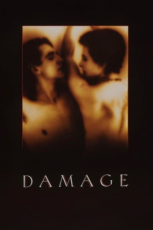Damage Explained: Complete Story Breakdown cover image