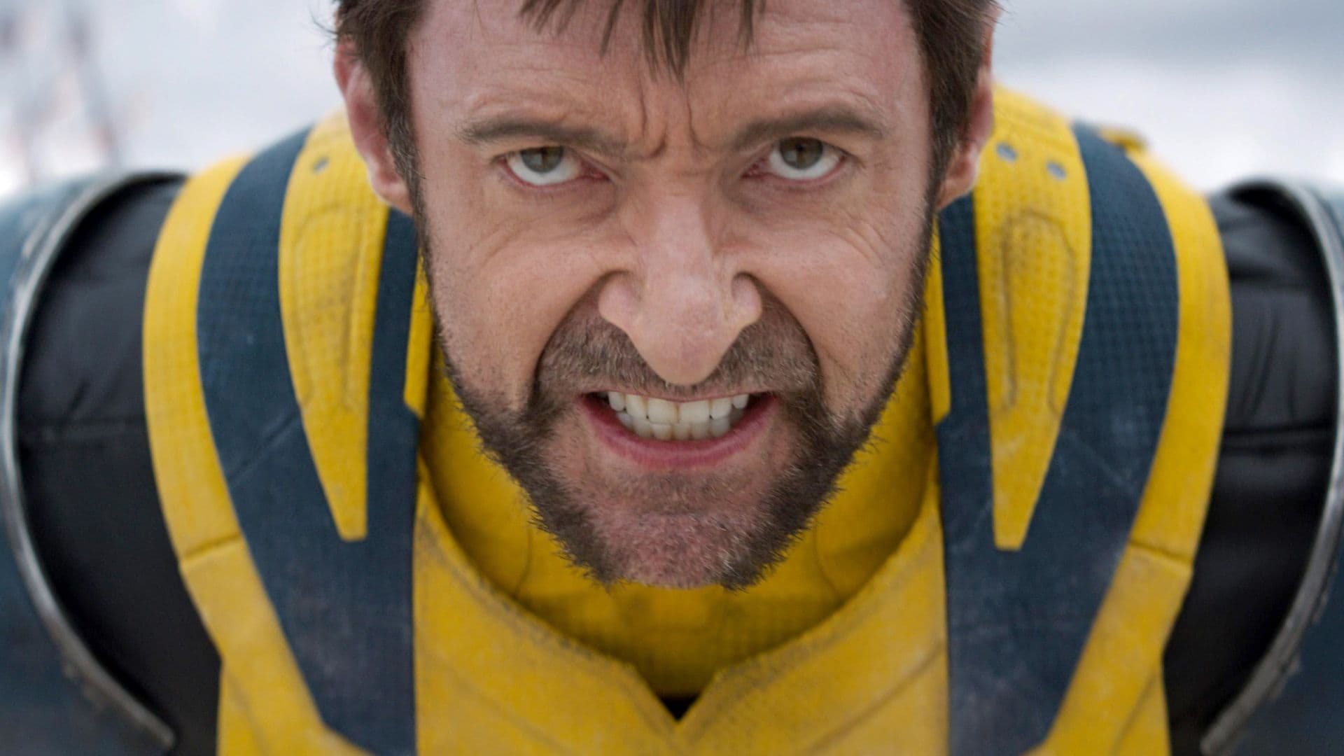 Hugh Jackman Offers Explicit Advice to Marvel's Next Wolverine Star movies cover image