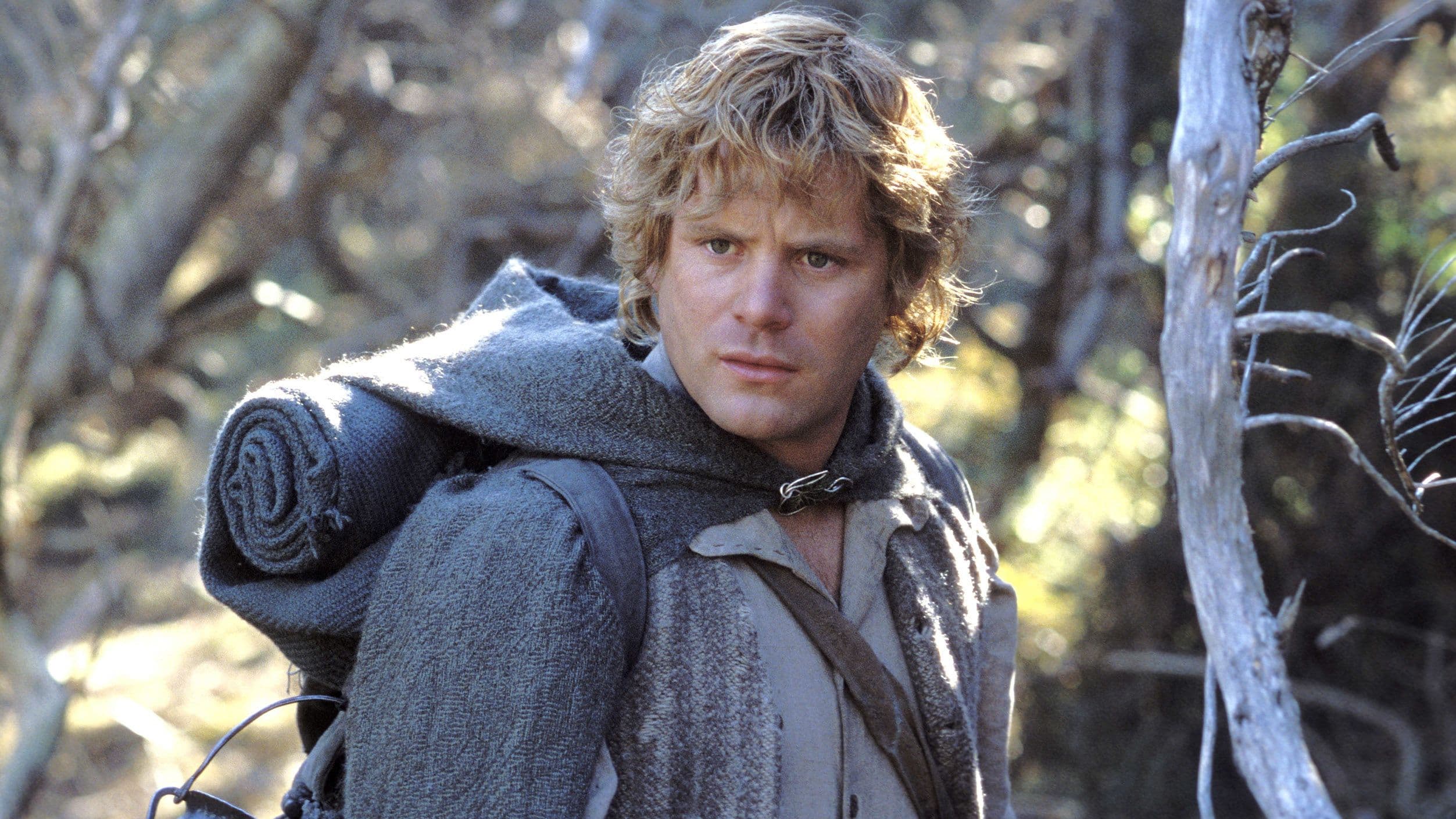 The Lord of the Rings Proved Sam Resisted the One Ring in Rivendell cover image