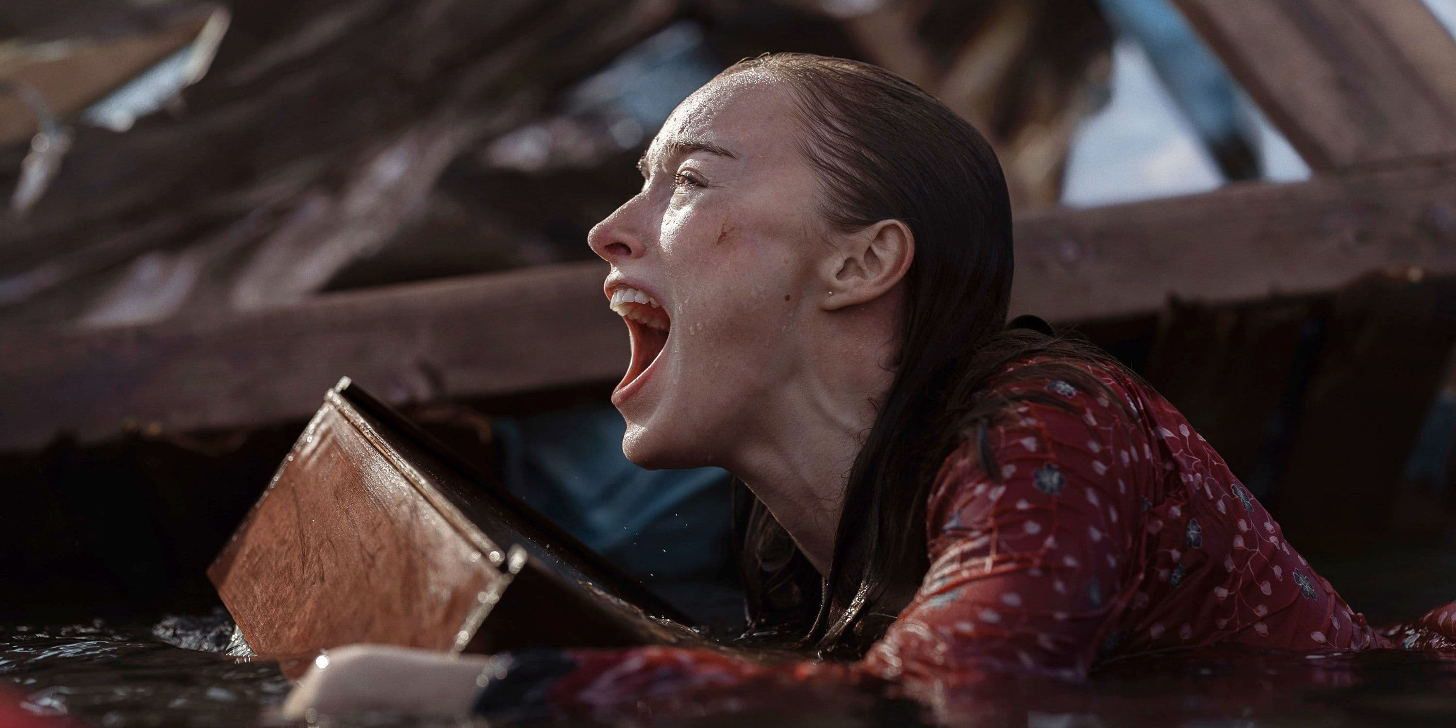 Netflix's 86-Minute Jaws Replacement: A Surprising Success cover image