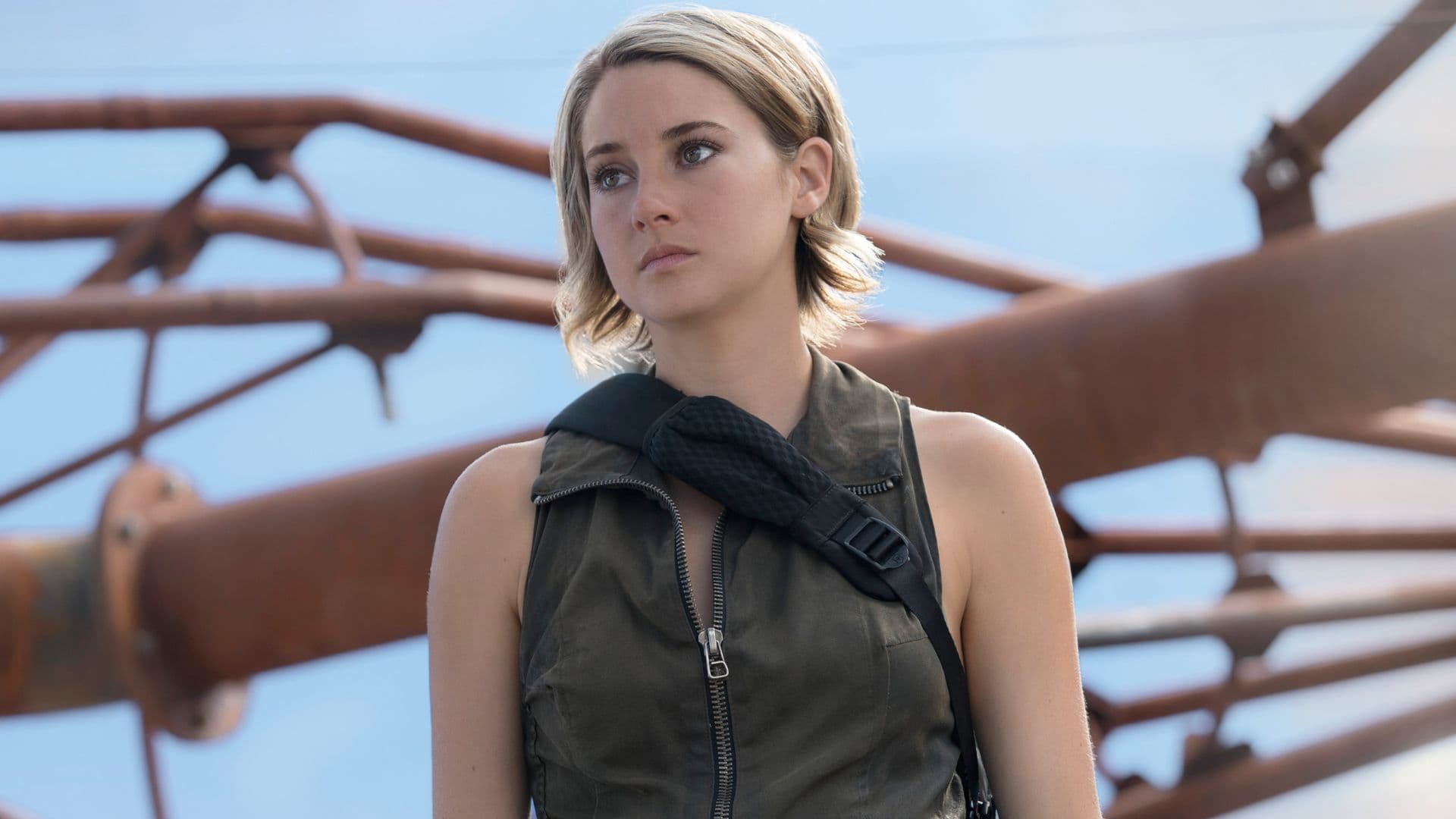 Shailene Woodley Gives Encouraging Answer About Divergent Future After Canceled Last Movie cover image