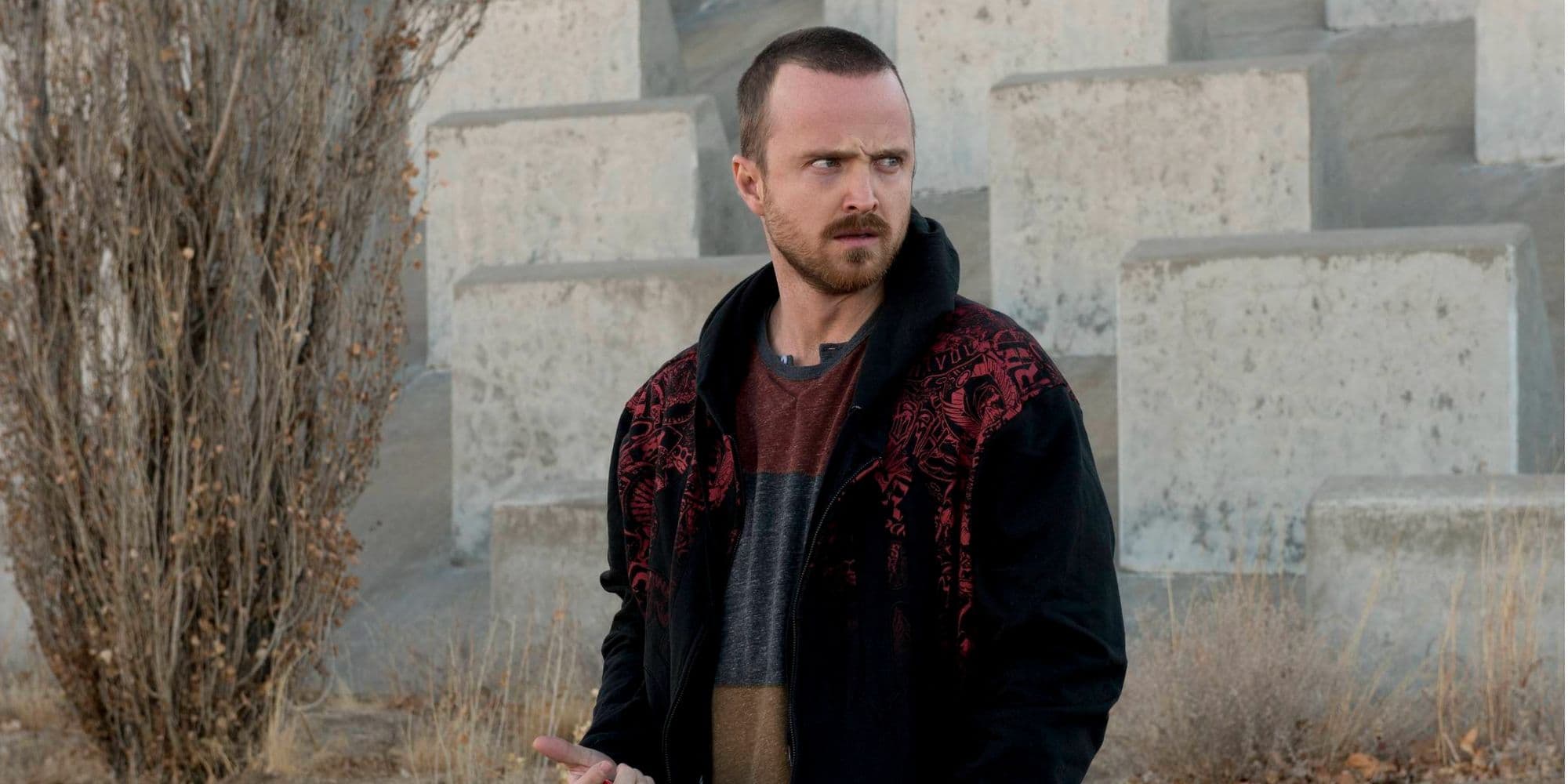 10 Crime Thriller Shows That Are Perfect From Start to Finish cover image