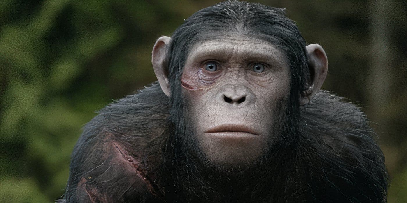 Only 5 Sci-Fi Movies From the 2010s Can Be Considered True Masterpieces cover image