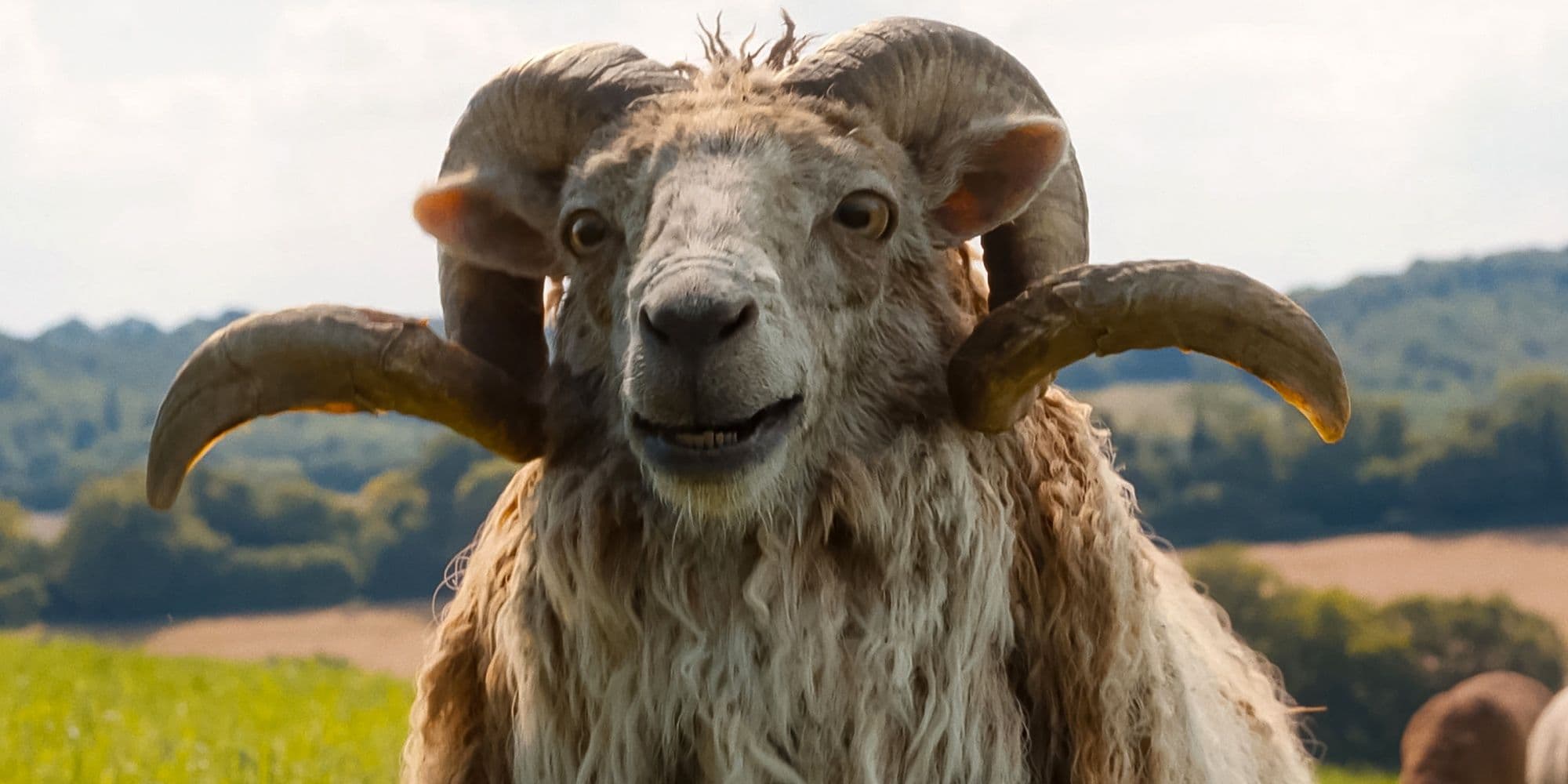 10 Cozy Mystery Movies To Watch if You Love 'The Sheep Detectives' cover image
