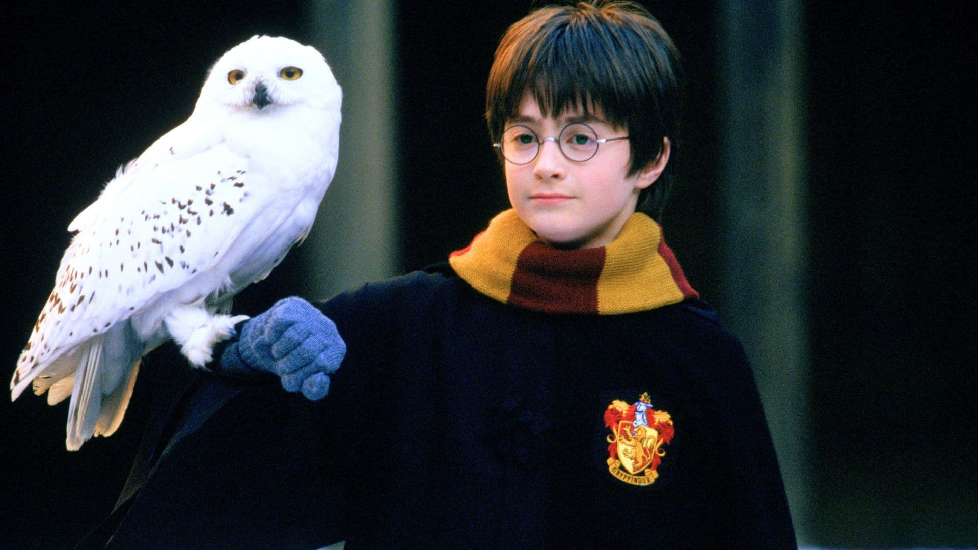 'Harry Potter' Sets New Extended Release Ahead of Streaming Reboot cover image