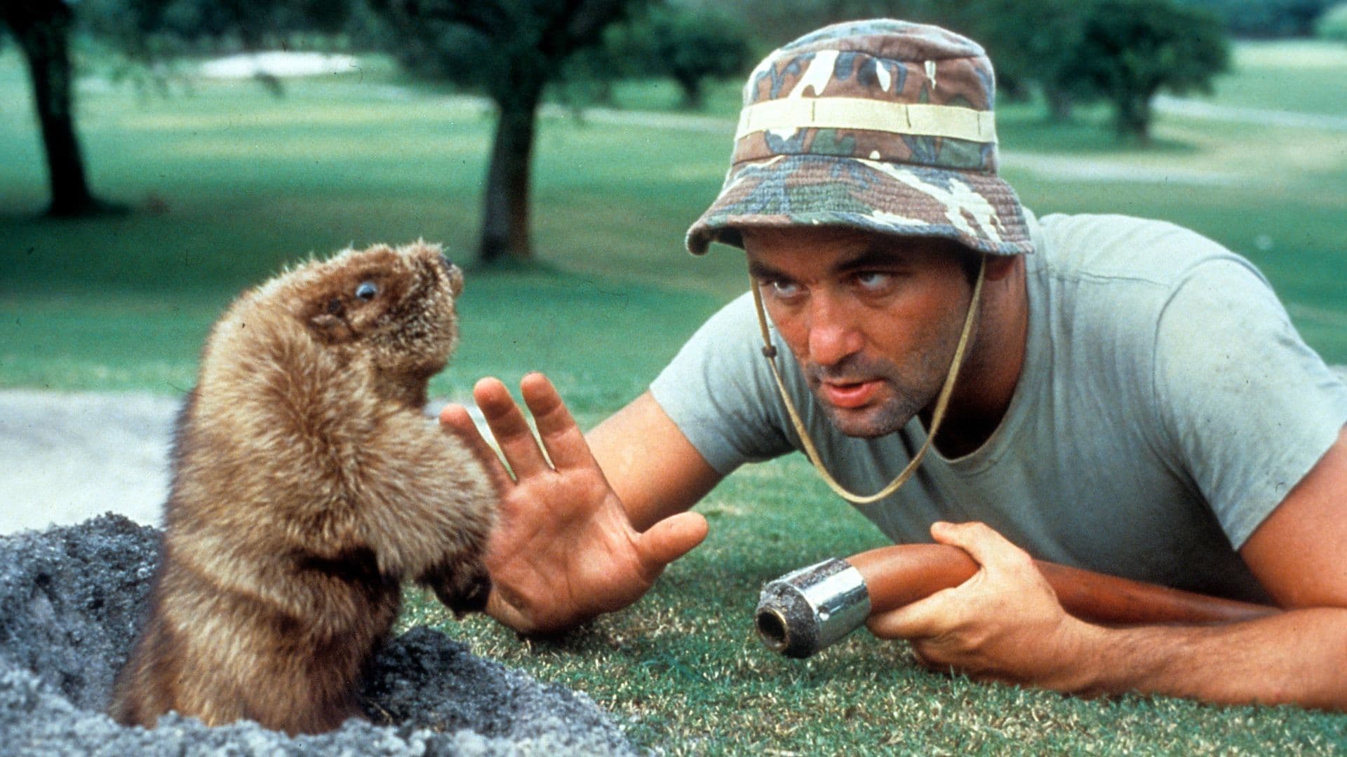 16 of the Greatest Summer Comedies Ever movies cover image