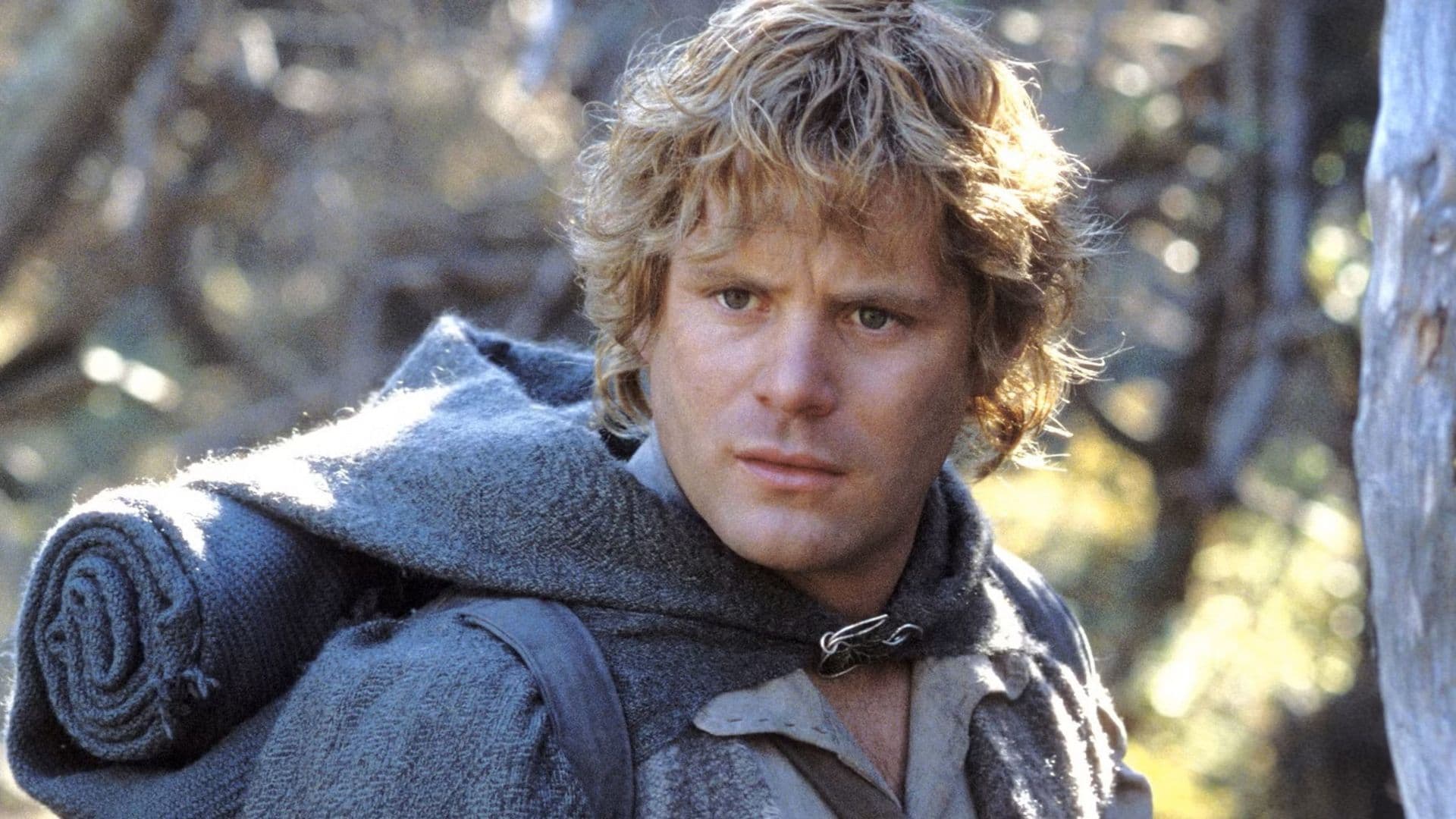 Sam's Best Line Is Still the Greatest Quote in 'Lord of the Rings' History cover image