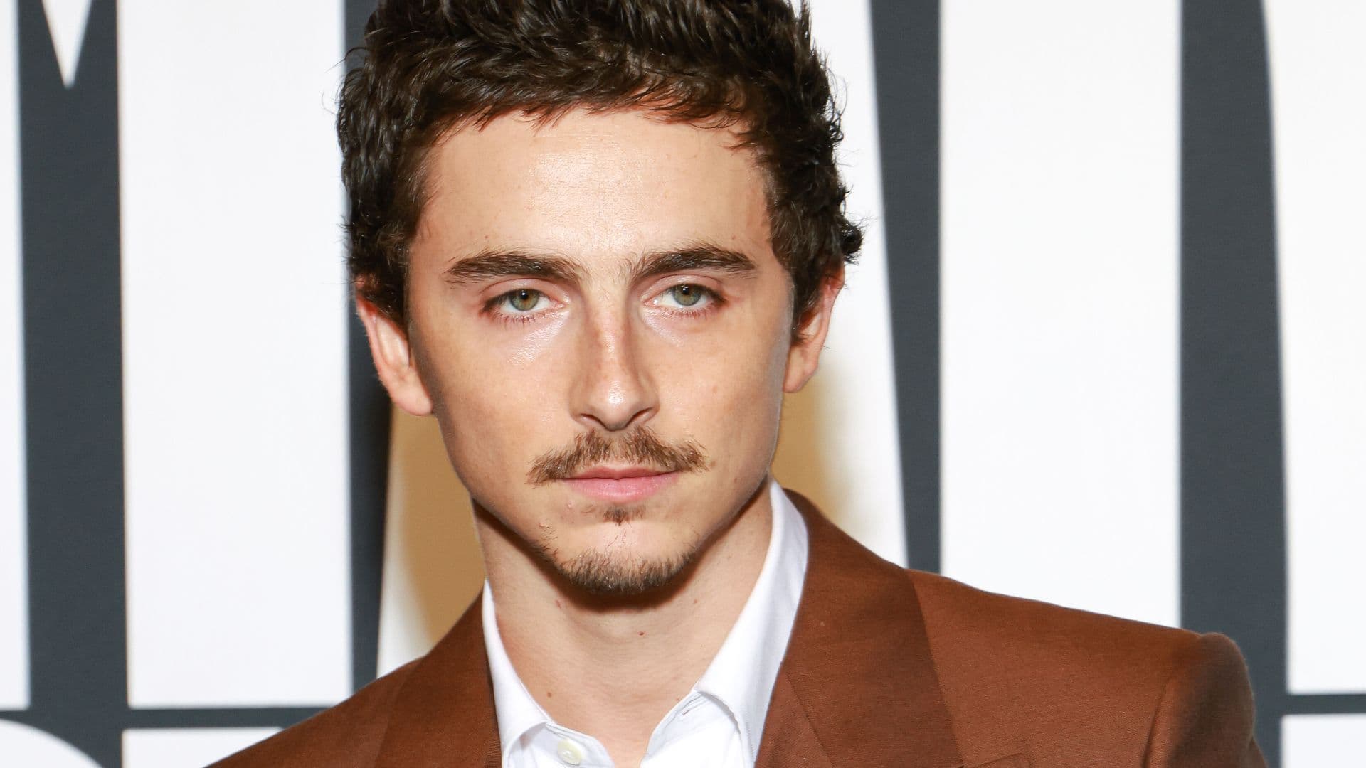 Timothée Chalamet's Most Underrated Movie Is Now On Netflix cover image