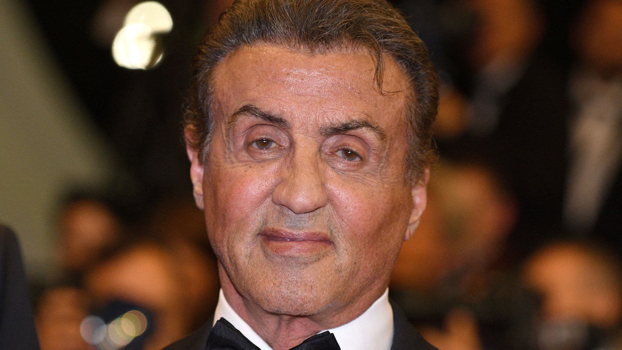 Sylvester Stallone Is Developing First TV Adaptation For 9-Year-Old Bestselling Crime Thriller Series cover image
