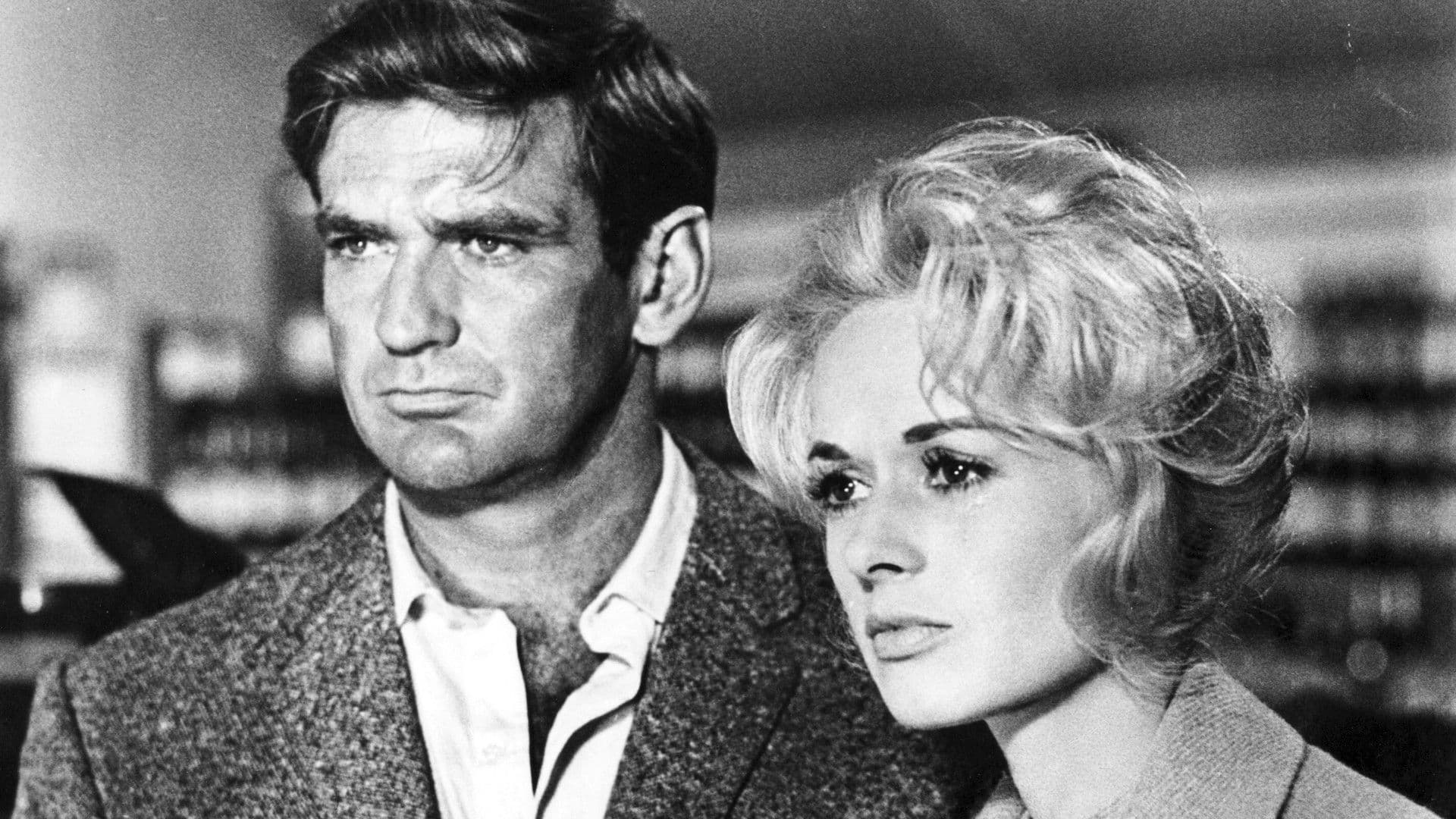 Alfred Hitchcock’s The Birds Is Getting New TV Remake Series News Breakdown: Story, Episodes, and What Comes Next cover image