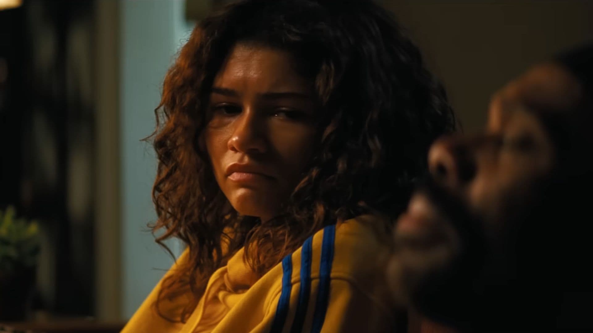 Euphoria Stuns With Major Character Death In Season 3 Finale Explained cover image