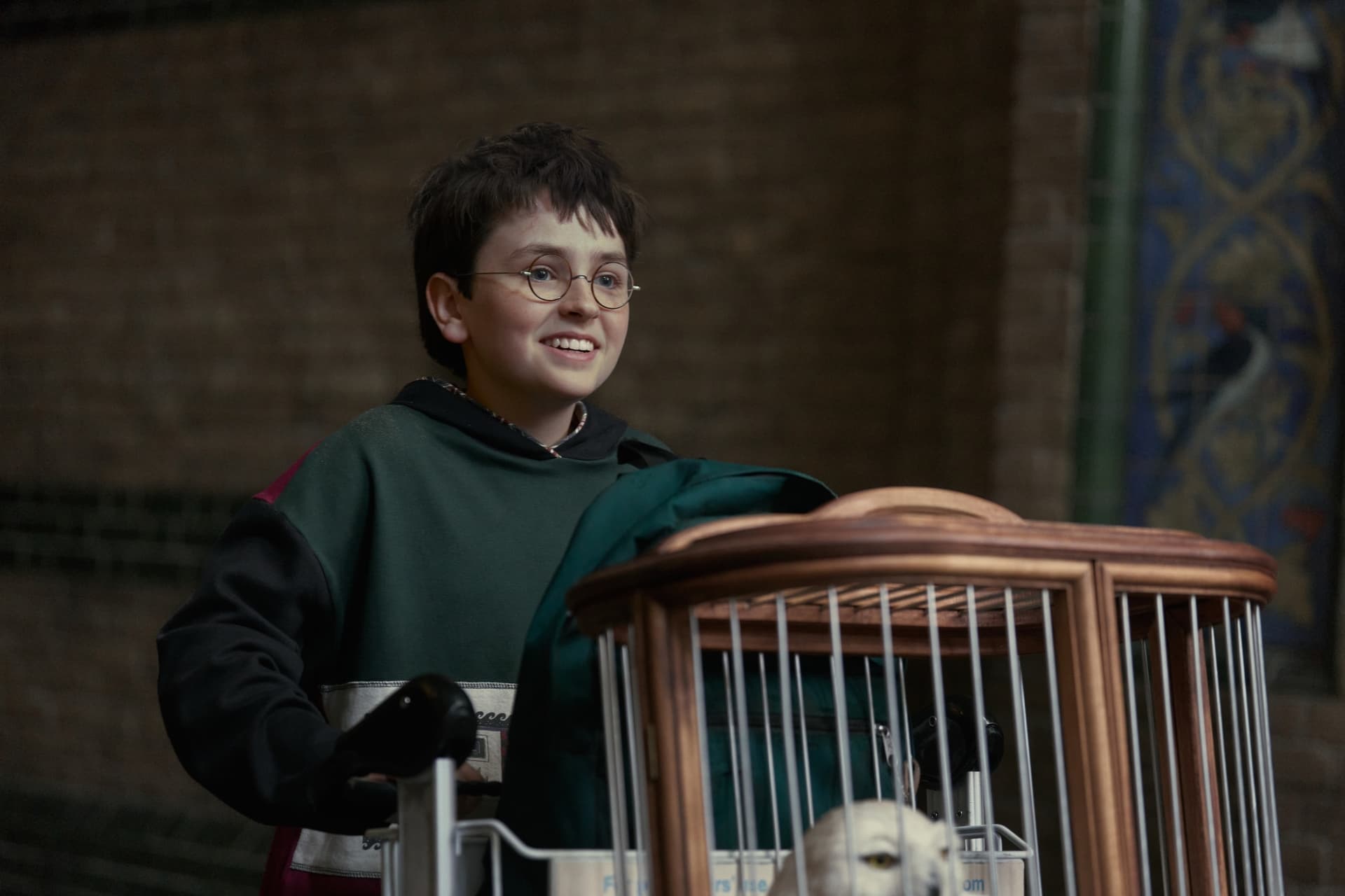 HBO's 'Harry Potter' Series Faces Challenges: Insights from Cinematographer Adriano Goldman cover image