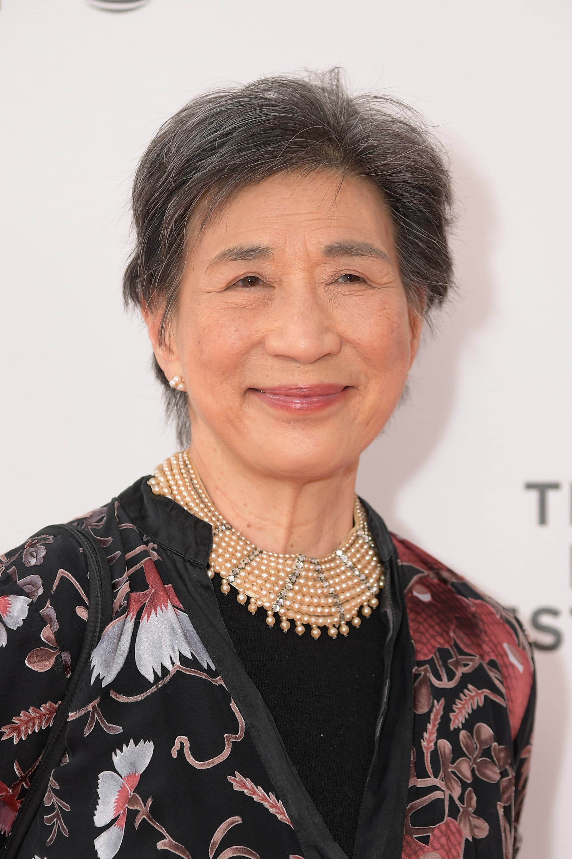 Wai Ching Ho: A Tribute to the Veteran Actor cover image