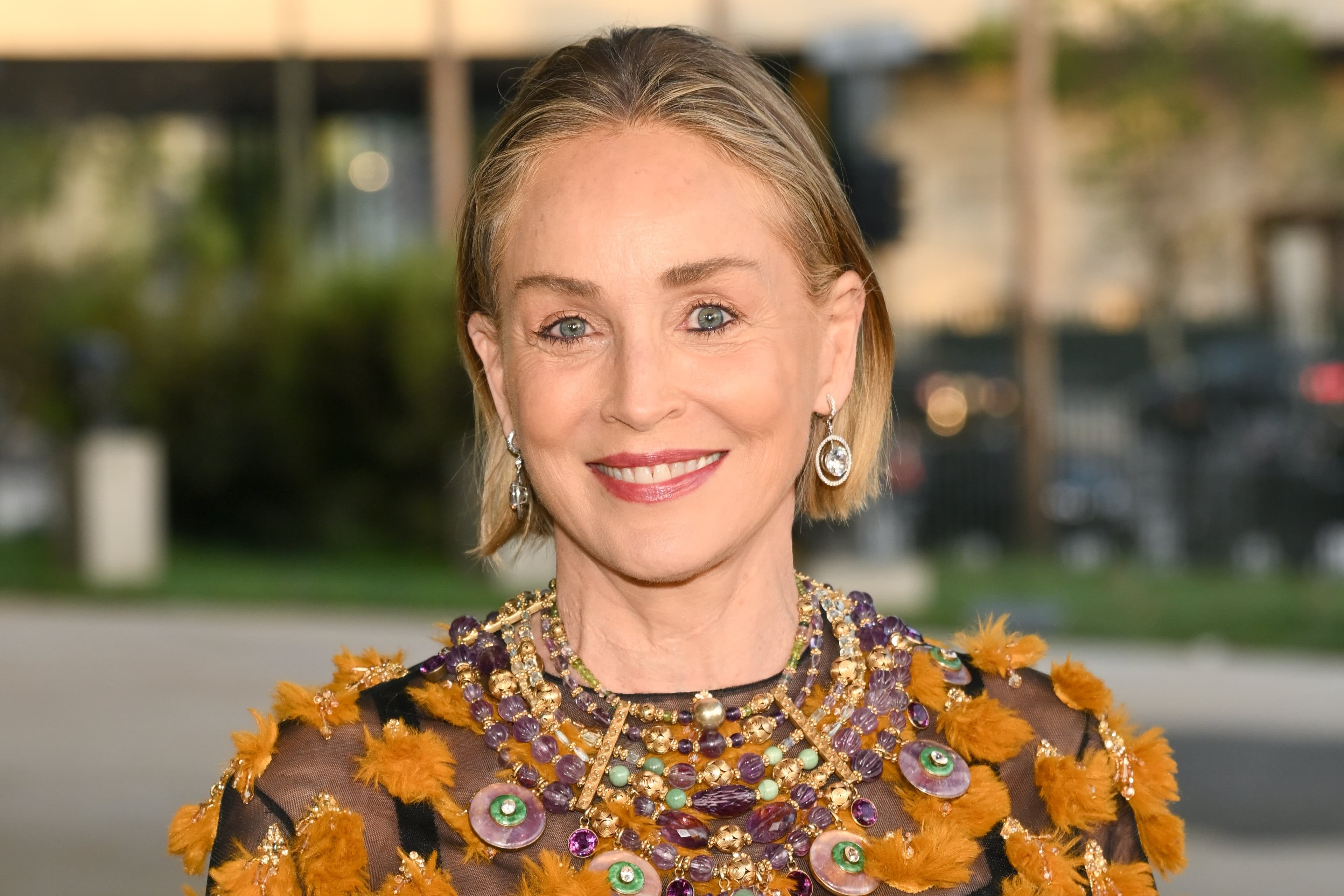 Sharon Stone's Journey After Quitting Weed: A Struggle Worth Discussing cover image