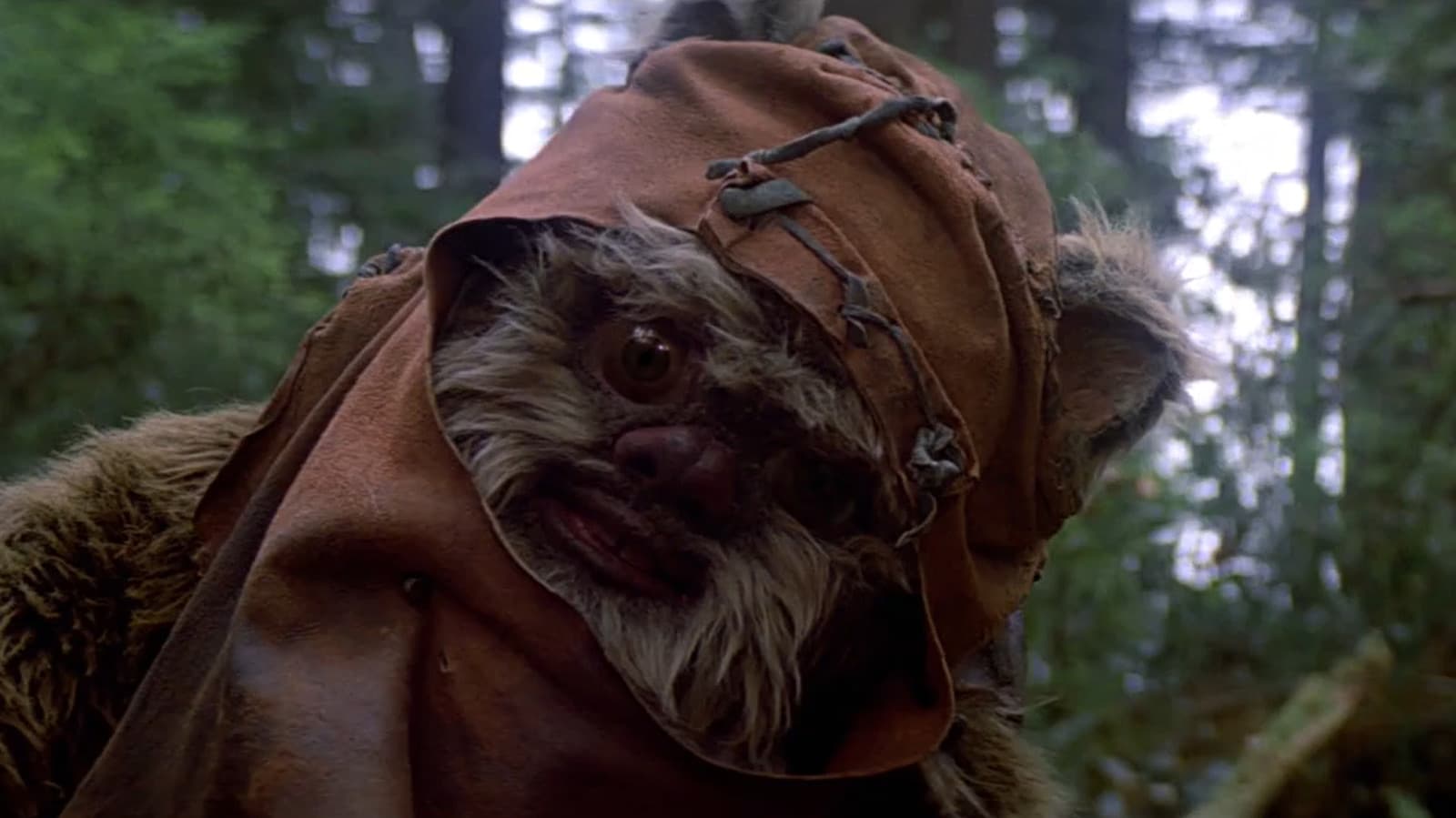 Star Wars: How The Wookiee Planet Concept In Return Of The Jedi Got Replaced By Ewoks cover image