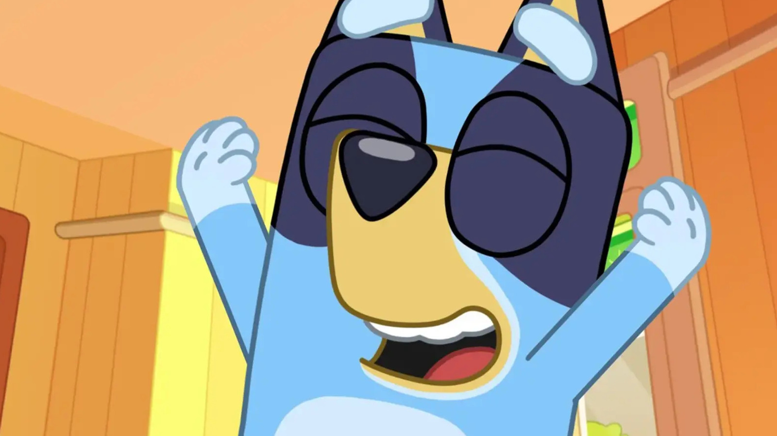 A collage of animated shows for kids similar to Bluey
